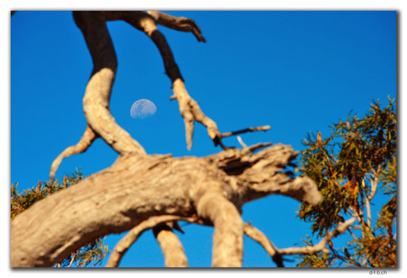 AU0551.Lake Indoon.Mond