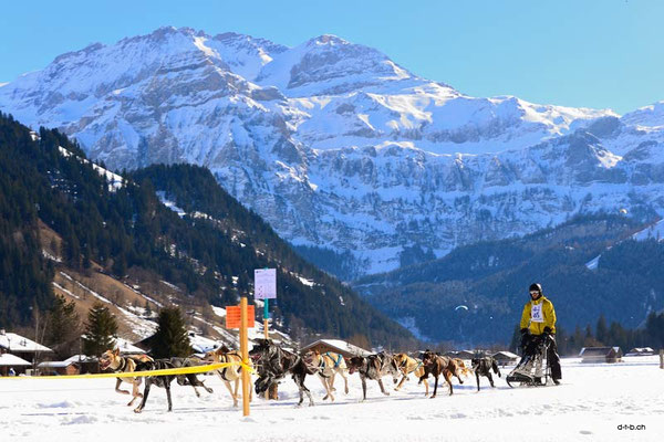 CH1370.SH-Rennen Lenk.Tanner Niklaus