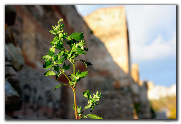 GR0112.Thessaloniki.Stadtmauer