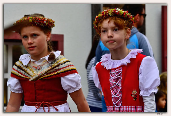 CH1161.Alpspektakel Seewis. Kinderalpabzug