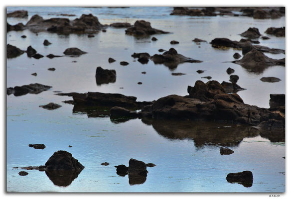 NZ0908.Curio Bay,Low Tide