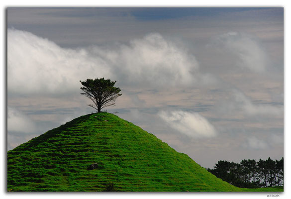 NZ0398.One tree hill