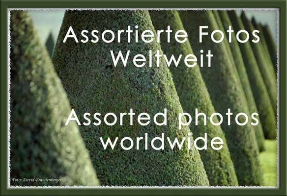 Fotogalerie Assortierte Fotos Weltweit / Photogallery Assorted Photos worldwide