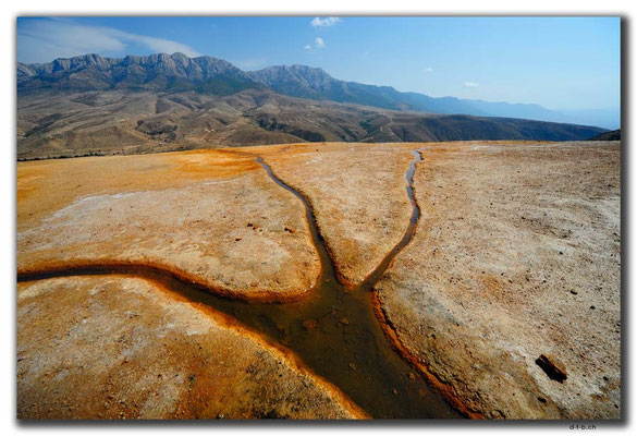 IR0293.Badab Soort