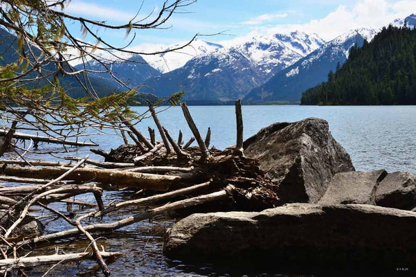 CA0147 Cheakamus Lake