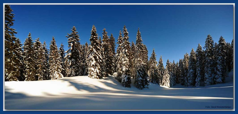 A0609.Wald.Klosters.CH