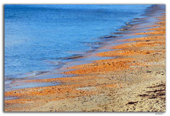 NZ0235.Red Beach