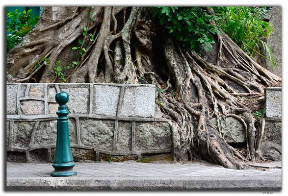 MO0028.Taipa