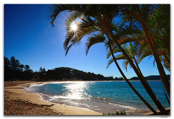 AU1695.Sydney.Palm Beach