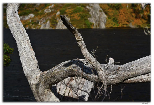 AU1332.Overland Track.Crater Lake