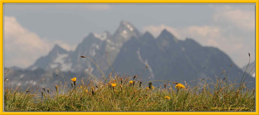 A0269 Unghürhörner,Klosters.CH
