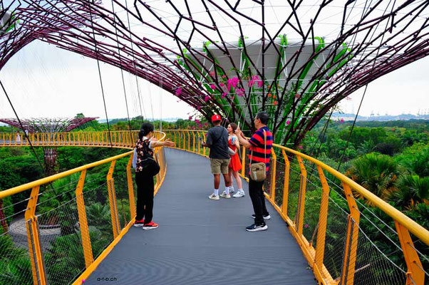 Singapore014