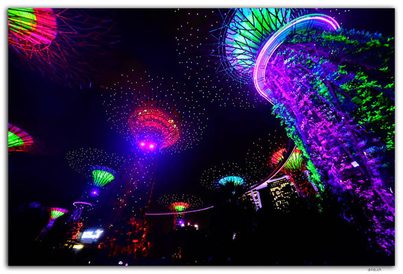 SIN0072.Gardens by the Bay.Supertrees Lightshow