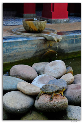 MA0109.Marrakech.Le Jardin Secret