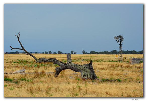 AU1006.Eyre Peninsula.Feld mit Windrad