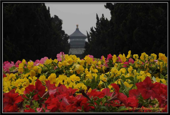 C0392Peking,Palast des Himmels