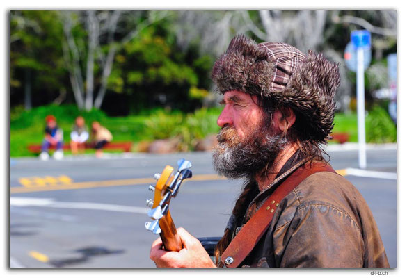 B078.New Zealand.Paihia.Local Bass player