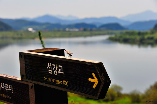 Südkorea, Libelle