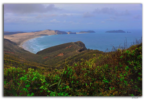NZ0109.Cape Maria Van Diemen