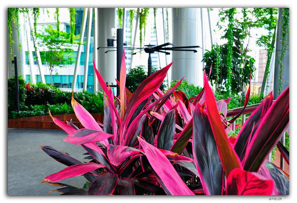 SIN0014.Sky Garden at Capita Springs