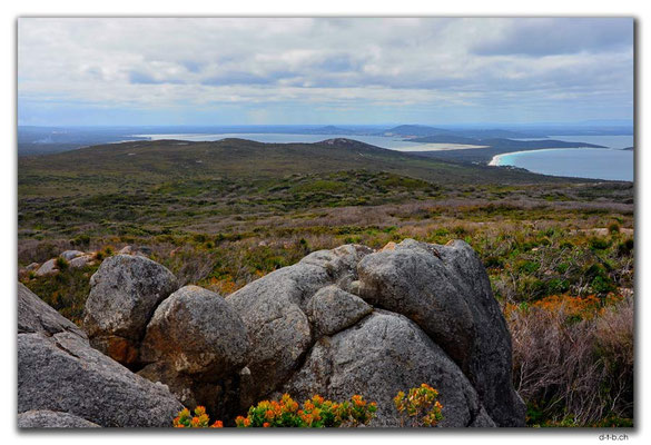 AU0820.Albany.Torndirrup N.P.Stony Hill