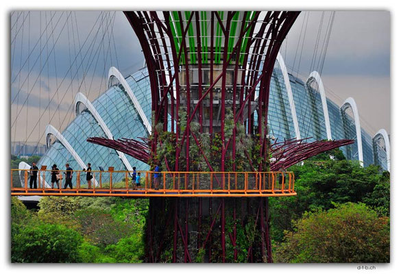 SIN0112.Gardens by the Bay.Supertrees