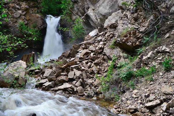 CA0219 Hardy Falls