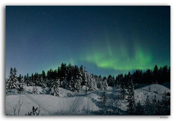 SE0113.Nordlicht