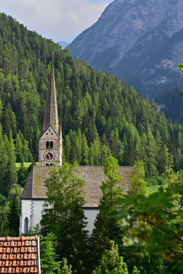 Diego & Roxy308