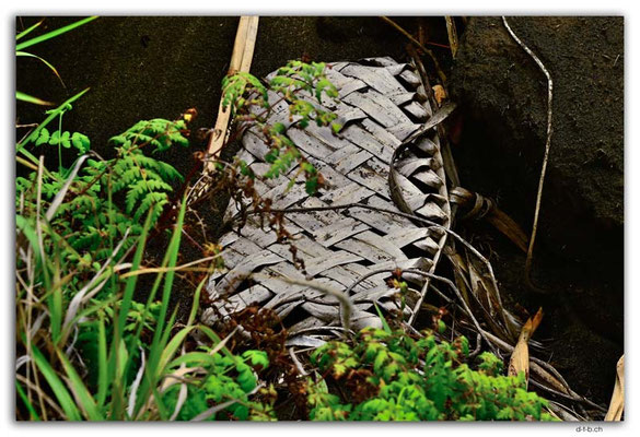 VT0059.Tanna.Lost basket