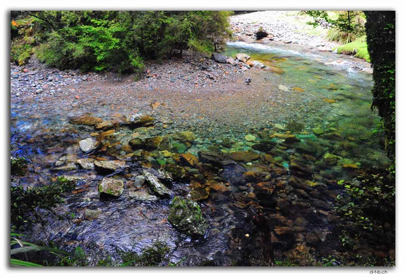 NZ0575.Anatoki Track.Stanley River Crossing