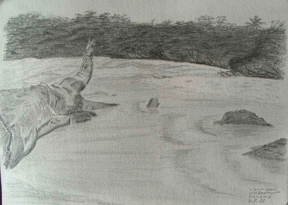 055.Skizze, Lizard beach, Isla Bastimento /Panama