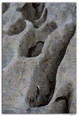 GW0447.Karst