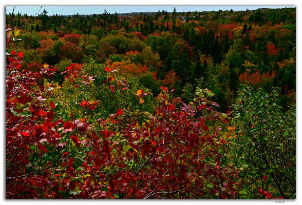 CA1319.Timberlea.Bluff Trail