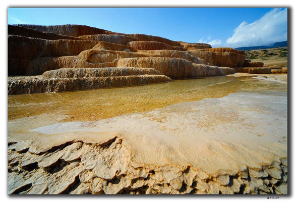 IR0311.Badab Soort