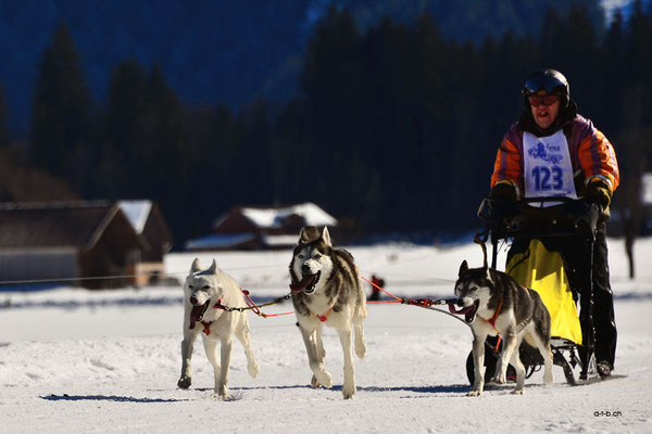 CH1400.SH-Rennen Lenk.Müller Manfred