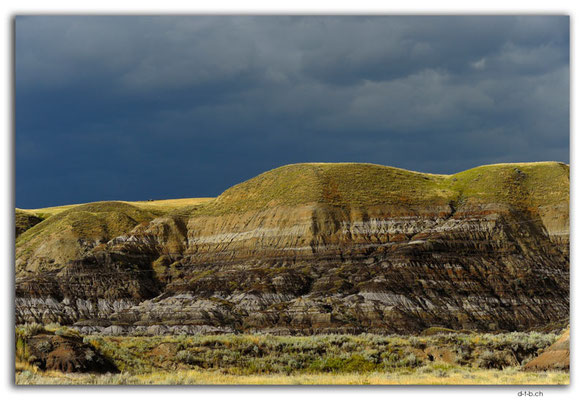 CA0769.Drumheller
