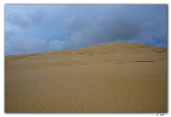 NZ0117.Sand Dune at Te Paki