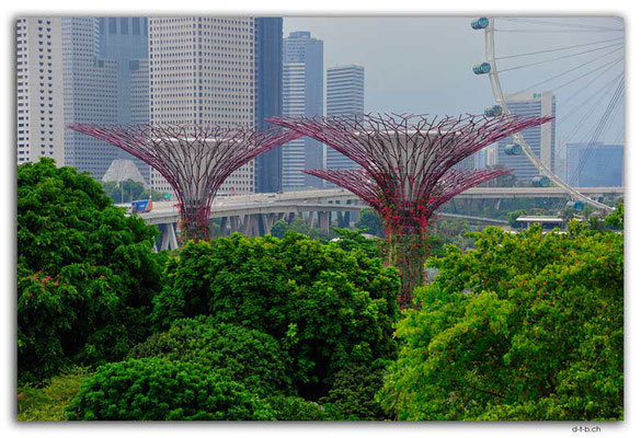 SIN0104.Gardens by the Bay.Supertrees