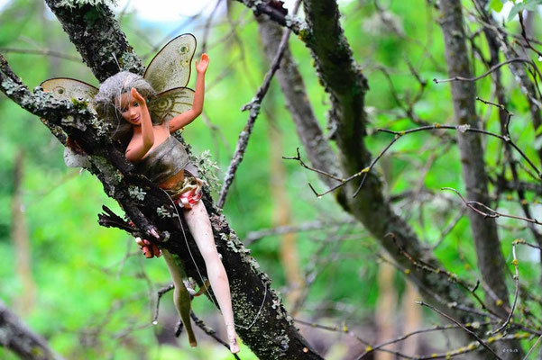 CA0205 Chase Fairytrail