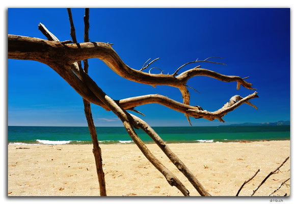 NZ0633.Milnthorpe Beach
