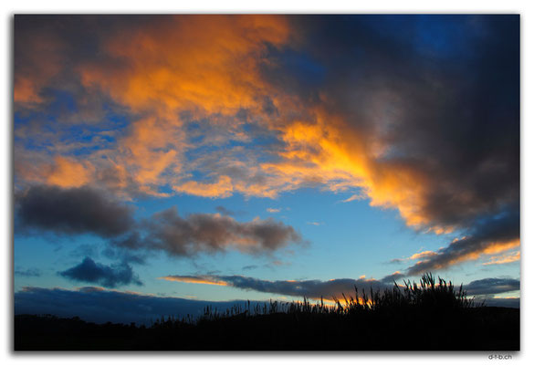 NZ0058.Parakai.Morgenrot
