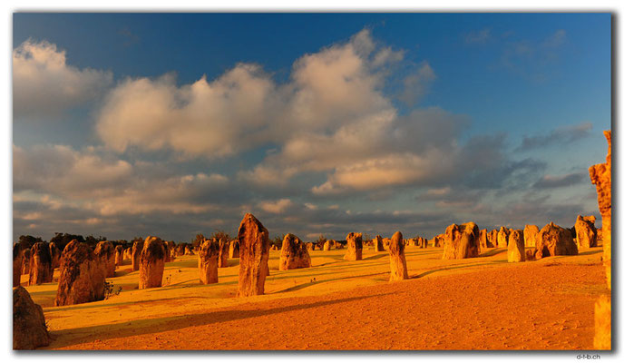 AU0604.Nambung N.P.Pinnacles