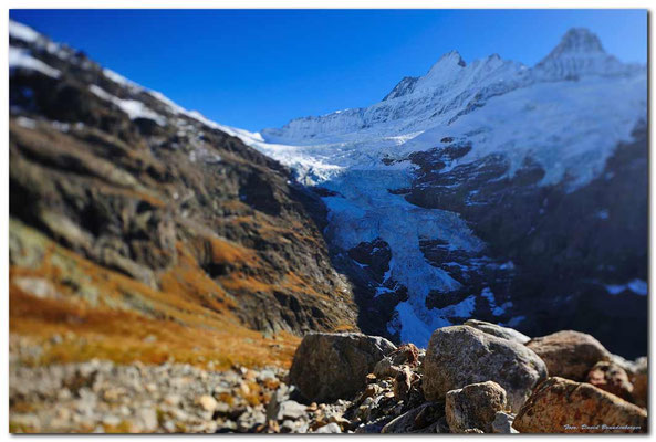 A0716. Oberer Grindelwaldgletscher.CH