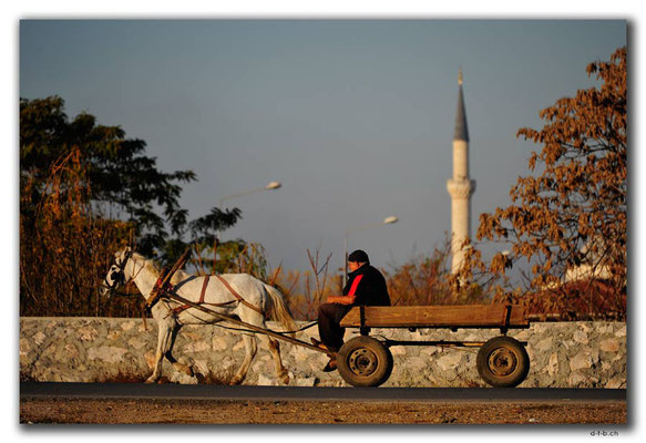 TR0038.Edirne.Pferdefuhrwerk