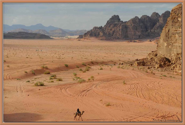 JO007.Kamelreiter.Wadi Rum
