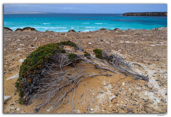 AU1021.Coffin Bay N.P. Golden Island Lookout