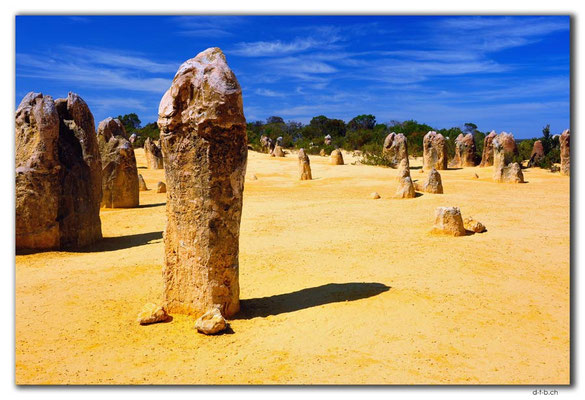 AU0575.Nambung N.P.Pinnacles