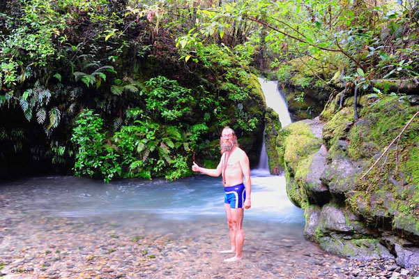 Neuseeland.Pelorus Bridge. 2nd.Waterfall