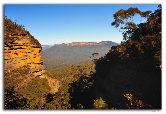 AU1719.Blue Mountains.Prince Henry Cliff Walk Lookout